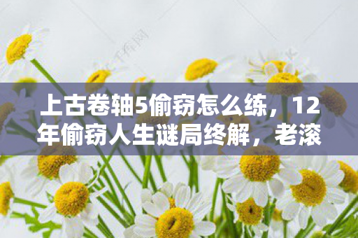 上古卷轴5偷窃怎么练，12年偷窃人生谜局终解，老滚5关服泪目谢幕
