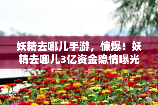 妖精去哪儿手游,惊爆!妖精去哪儿3亿资金隐情曝光,背后真相让人吓一跳! 妖精去哪儿手游,惊爆!妖精去哪儿3亿资金隐情曝光,背后真相让人吓一跳!