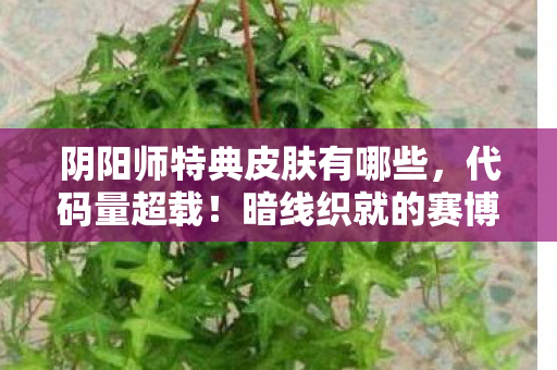 阴阳师特典皮肤有哪些，代码量超载！暗线织就的赛博囚笼，头皮发麻的式神叛乱