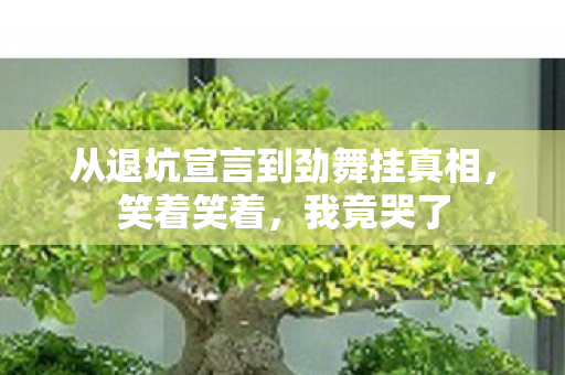 从退坑宣言到劲舞挂真相，笑着笑着，我竟哭了