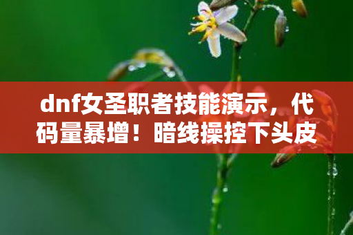 dnf女圣职者技能演示，代码量暴增！暗线操控下头皮发麻的DNF女圣职者加点革命