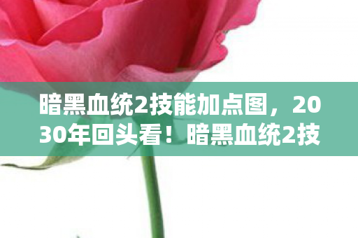 暗黑血统2技能加点图,2030年回头看!暗黑血统2技能加点竟藏着颠覆认知的终极真相? 暗黑血统2技能加点图,2030年回头看!暗黑血统2技能加点竟藏着颠覆认知的终极真相?
