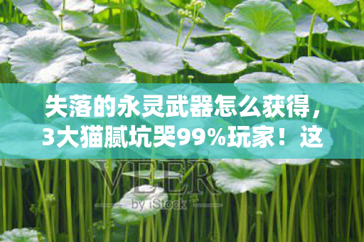 失落的永灵武器怎么获得，3大猫腻坑哭99%玩家！这破武器系统让我氪到上头又下头