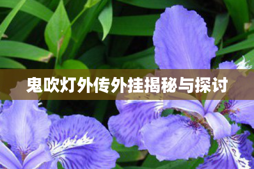 鬼吹灯外传外挂揭秘与探讨 鬼吹灯外传外挂揭秘与探讨