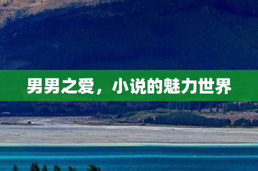 男男之爱,小说的魅力世界 男男之爱,小说的魅力世界