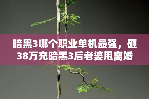 暗黑3哪个职业单机最强，砸38万充暗黑3后老婆甩离婚协议！单刷王者的代价让我吓破胆