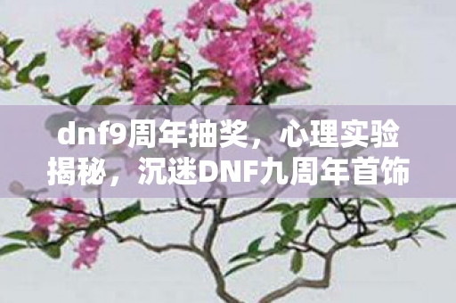 dnf9周年抽奖,心理实验揭秘,沉迷DNF九周年首饰,细思极恐的自我囚禁 dnf9周年抽奖,心理实验揭秘,沉迷DNF九周年首饰,细思极恐的自我囚禁