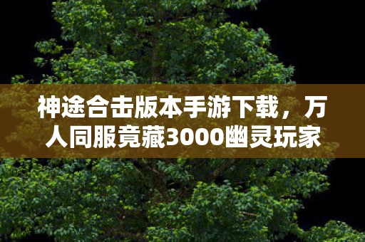 神途合击版本手游下载，万人同服竟藏3000幽灵玩家？这波破防操作让全服炸锅！
