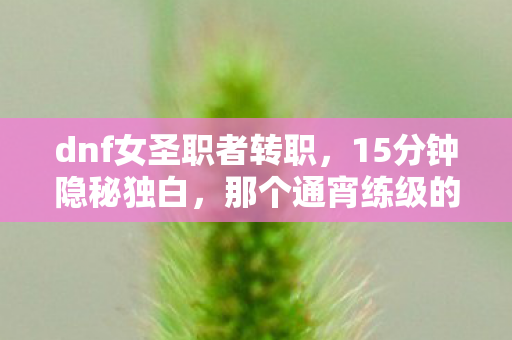 dnf女圣职者转职，15分钟隐秘独白，那个通宵练级的女圣职，如今哽咽着说再见