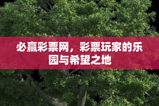 必赢彩票网,彩票玩家的乐园与希望之地 必赢彩票网,彩票玩家的乐园与希望之地