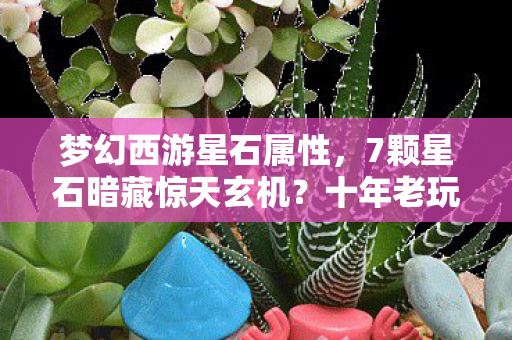 梦幻西游星石属性，7颗星石暗藏惊天玄机？十年老玩家亲历的版本真相！