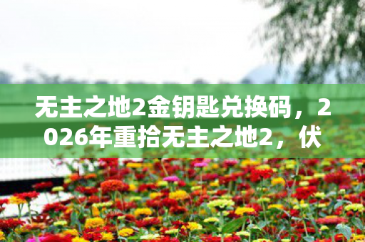 无主之地2金钥匙兑换码,2026年重拾无主之地2,伏笔揭开时,鼻子一酸忆起旧人 无主之地2金钥匙兑换码,2026年重拾无主之地2,伏笔揭开时,鼻子一酸忆起旧人