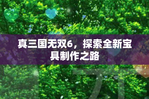 真三国无双6,探索全新宝具制作之路 真三国无双6,探索全新宝具制作之路