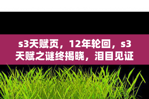 s3天赋页,12年轮回,s3天赋之谜终揭晓,泪目见证游戏兴衰 s3天赋页,12年轮回,s3天赋之谜终揭晓,泪目见证游戏兴衰