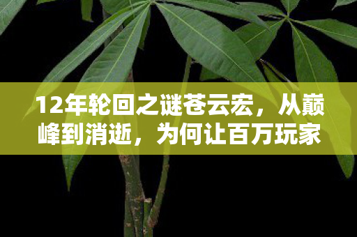 12年轮回之谜苍云宏,从巅峰到消逝,为何让百万玩家泪目? 12年轮回之谜苍云宏,从巅峰到消逝,为何让百万玩家泪目?