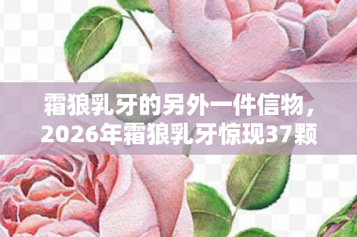 霜狼乳牙的另外一件信物,2026年霜狼乳牙惊现37颗!神秘数字背后藏何玄机? 霜狼乳牙的另外一件信物,2026年霜狼乳牙惊现37颗!神秘数字背后藏何玄机?