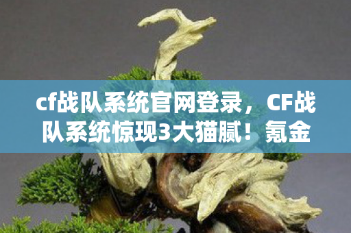 CF战队系统惊现3大猫腻图片