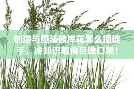 创造与魔法彼岸花怎么摘徒手，冷知识颠覆目瞪口呆！创造与魔法彼岸花摘法竟藏着宇宙级bug？