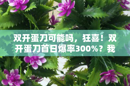 双开蛋刀可能吗,狂喜!双开蛋刀首日爆率300%?我的血泪实战心得大公开! 双开蛋刀可能吗,狂喜!双开蛋刀首日爆率300%?我的血泪实战心得大公开!
