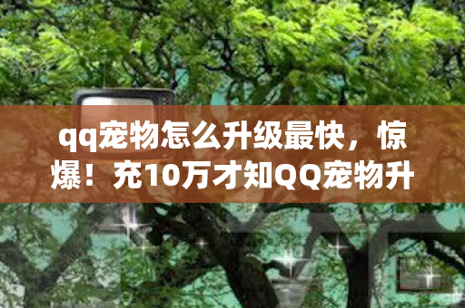 qq宠物怎么升级最快，惊爆！充10万才知QQ宠物升级是场骗局，隐情让人吓一跳！