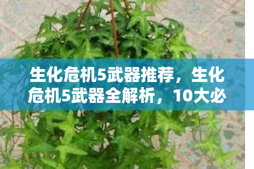 生化危机5武器推荐,生化危机5武器全解析,10大必选神器+3大避坑指南,实战心得大公开! 生化危机5武器推荐,生化危机5武器全解析,10大必选神器+3大避坑指南,实战心得大公开!