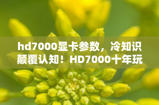 hd7000显卡参数，冷知识颠覆认知！HD7000十年玩家竟目瞪口呆，我从未真正懂过它