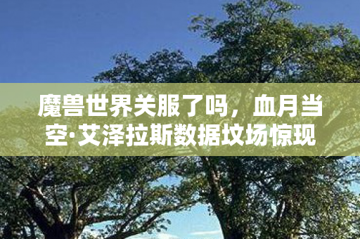 魔兽世界关服了吗，血月当空·艾泽拉斯数据坟场惊现百万玩家数字亡魂悬案