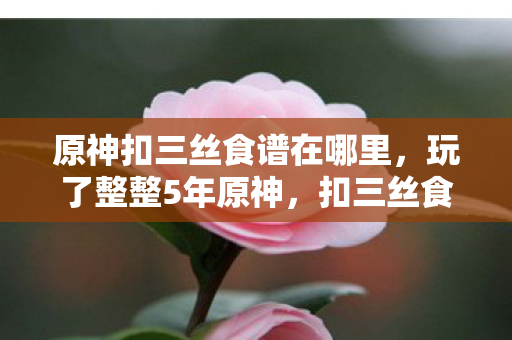 原神扣三丝食谱在哪里，玩了整整5年原神，扣三丝食谱竟藏在这3个隐秘角落？选哪个纠结到炸！