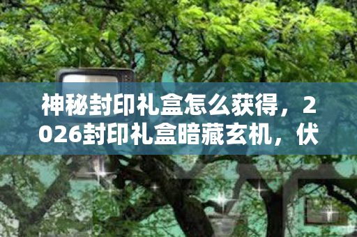 神秘封印礼盒怎么获得，2026封印礼盒暗藏玄机，伏笔揭开时我竟鼻子一酸
