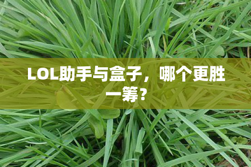 LOL助手与盒子，哪个更胜一筹？