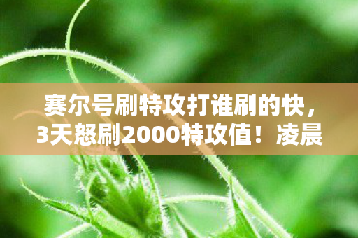 赛尔号刷特攻打谁刷的快,3天怒刷2000特攻值!凌晨3点的赛尔号,我为何在泪水中狂点鼠标? 赛尔号刷特攻打谁刷的快,3天怒刷2000特攻值!凌晨3点的赛尔号,我为何在泪水中狂点鼠标?