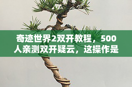 奇迹世界2双开教程,500人亲测双开疑云,这操作是外挂还是官方漏洞?玩家集体绷不住了! 奇迹世界2双开教程,500人亲测双开疑云,这操作是外挂还是官方漏洞?玩家集体绷不住了!