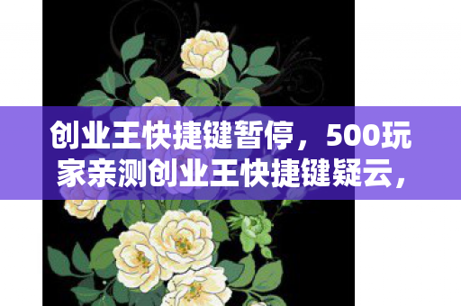 创业王快捷键暂停，500玩家亲测创业王快捷键疑云，这操作是外挂？策划组都绷不住了！