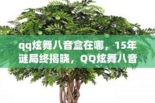qq炫舞八音盒在哪,15年谜局终揭晓,QQ炫舞八音盒里藏着谁的青春泪目? qq炫舞八音盒在哪,15年谜局终揭晓,QQ炫舞八音盒里藏着谁的青春泪目?