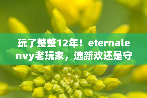玩了整整12年！eternalenvy老玩家，选新欢还是守旧爱？