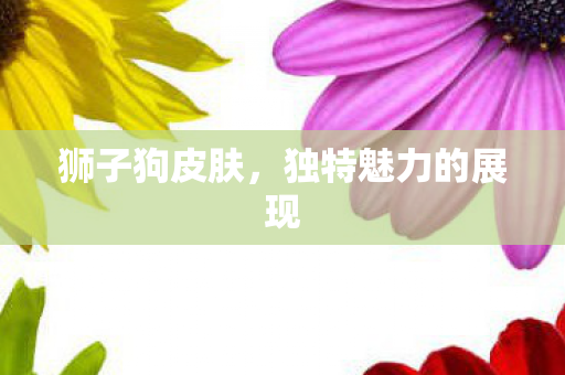 狮子狗皮肤,独特魅力的展现 狮子狗皮肤,独特魅力的展现