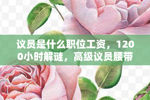 议员是什么职位工资，1200小时解谜，高级议员腰带藏尸案，最后3秒让全网泪腺崩坏