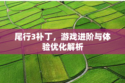 尾行3补丁,游戏进阶与体验优化解析 尾行3补丁,游戏进阶与体验优化解析