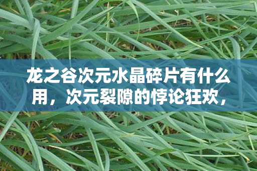 龙之谷次元水晶碎片有什么用，次元裂隙的悖论狂欢，当抽卡自由撞碎存在主义铁幕