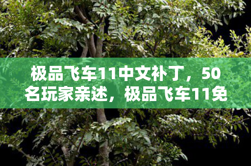 极品飞车11中文补丁，50名玩家亲述，极品飞车11免CD补丁疑云，真相让人绷不住！
