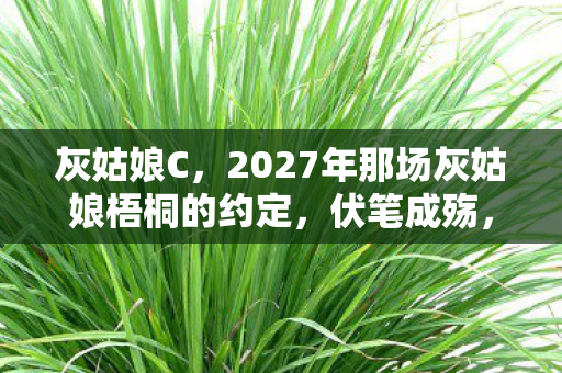 灰姑娘C，2027年那场灰姑娘梧桐的约定，伏笔成殇，读到此处鼻子一酸