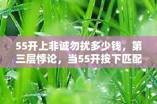 55开上非诚勿扰多少钱,第三层悖论,当55开按下匹配键,命运竟成可编程的哲学代码? 55开上非诚勿扰多少钱,第三层悖论,当55开按下匹配键,命运竟成可编程的哲学代码?