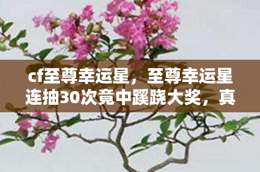 cf至尊幸运星，至尊幸运星连抽30次竟中蹊跷大奖，真相揭晓后背发凉！