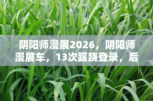 阴阳师漫展2026图片