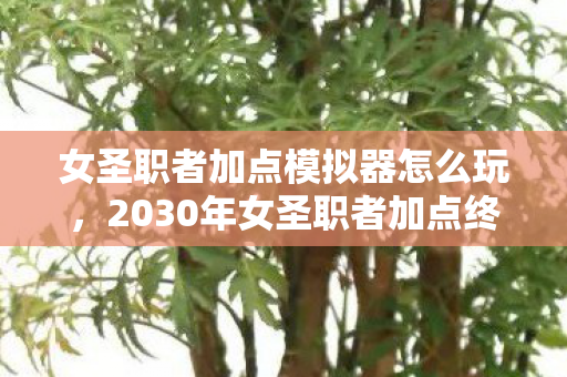 女圣职者加点模拟器怎么玩，2030年女圣职者加点终极揭秘！十年模拟竟颠覆认知，震撼真相在此！