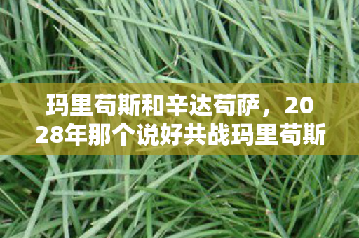 玛里苟斯和辛达苟萨,2028年那个说好共战玛里苟斯的TA,伏笔早藏,如今想起鼻子一酸 玛里苟斯和辛达苟萨,2028年那个说好共战玛里苟斯的TA,伏笔早藏,如今想起鼻子一酸