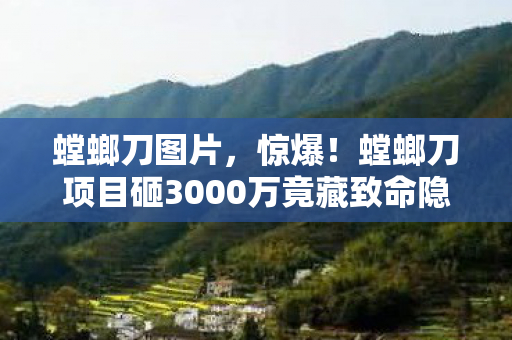 螳螂刀图片，惊爆！螳螂刀项目砸3000万竟藏致命隐情，真相让人吓一跳！