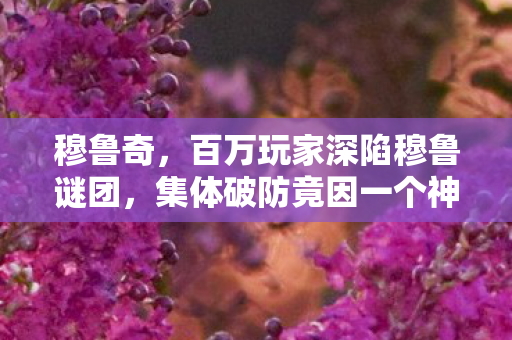 穆鲁奇，百万玩家深陷穆鲁谜团，集体破防竟因一个神秘坐标？