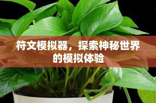 符文模拟器,探索神秘世界的模拟体验 符文模拟器,探索神秘世界的模拟体验