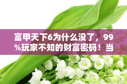 富甲天下6为什么没了，99%玩家不知的财富密码！当996社畜撞破富甲天下6的残酷真相